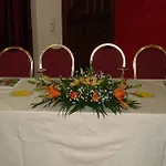 Alpen House & 4*